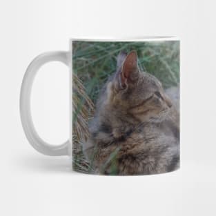 cat Mug